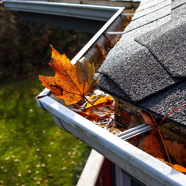 Gutters with a number of Fall leaves in them.